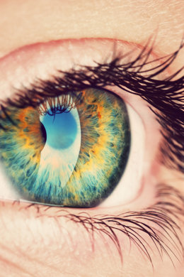 Percezione dei colori: come funziona la vista umana